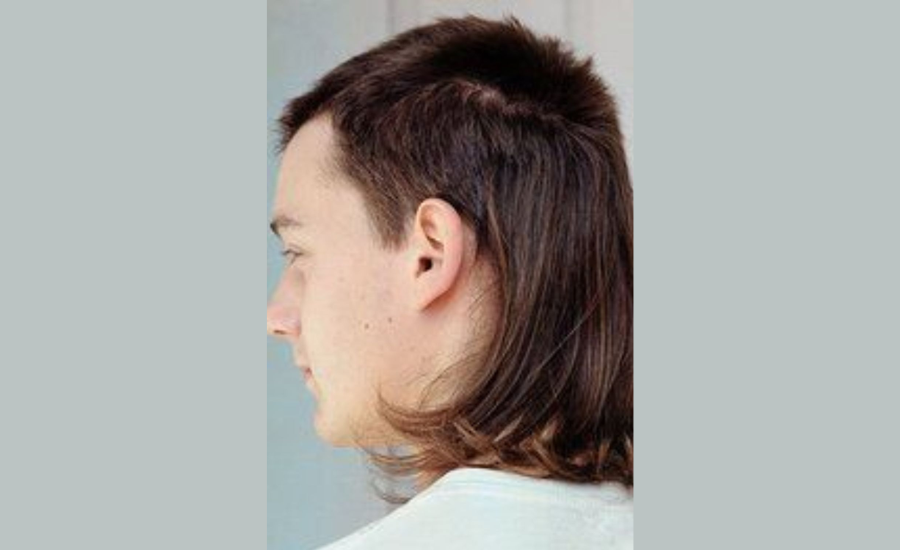 5. Cactus Cut Mullet