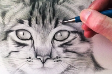 drawing:a4z_-ymtkr8= cat