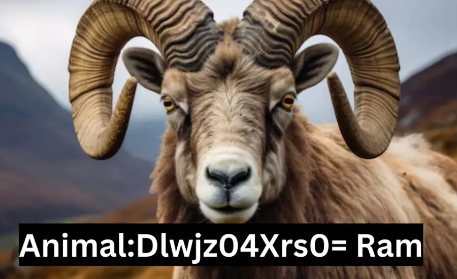 animal:dlwjz04xrs0= ram