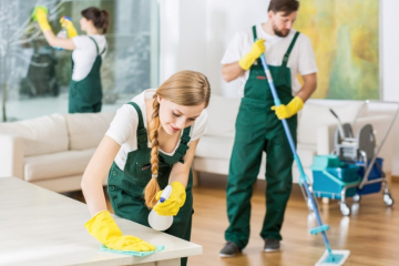 Apartment Cleaners