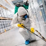 Commercial Pest Control Maitland: A Comprehensive Overview