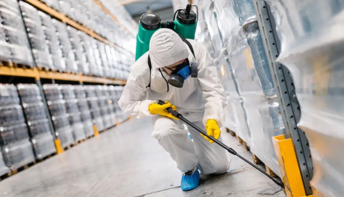 Commercial Pest Control Maitland: A Comprehensive Overview