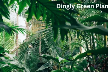 Dinglygreen