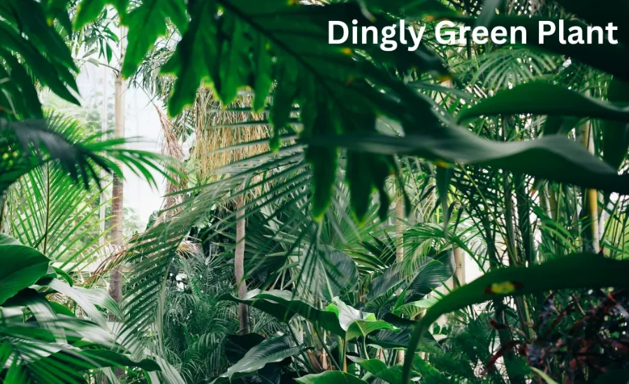 Dinglygreen